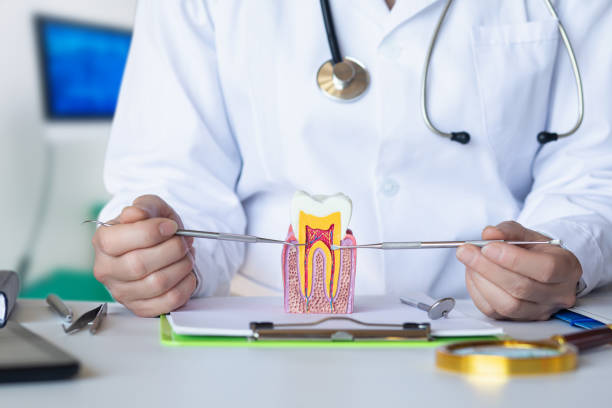 Best Emergency Dentist for Knocked-Out Tooth in Oak Park, MI
